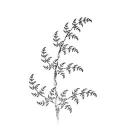 Marta Imke’s profile picture.